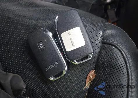 2022 Kia Telluride Ex z USA, uszkodzony, nr VIN 5XYP3DHC1NG303396